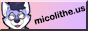 Micolithe